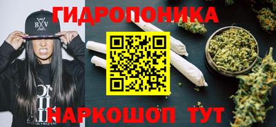крисы Аша