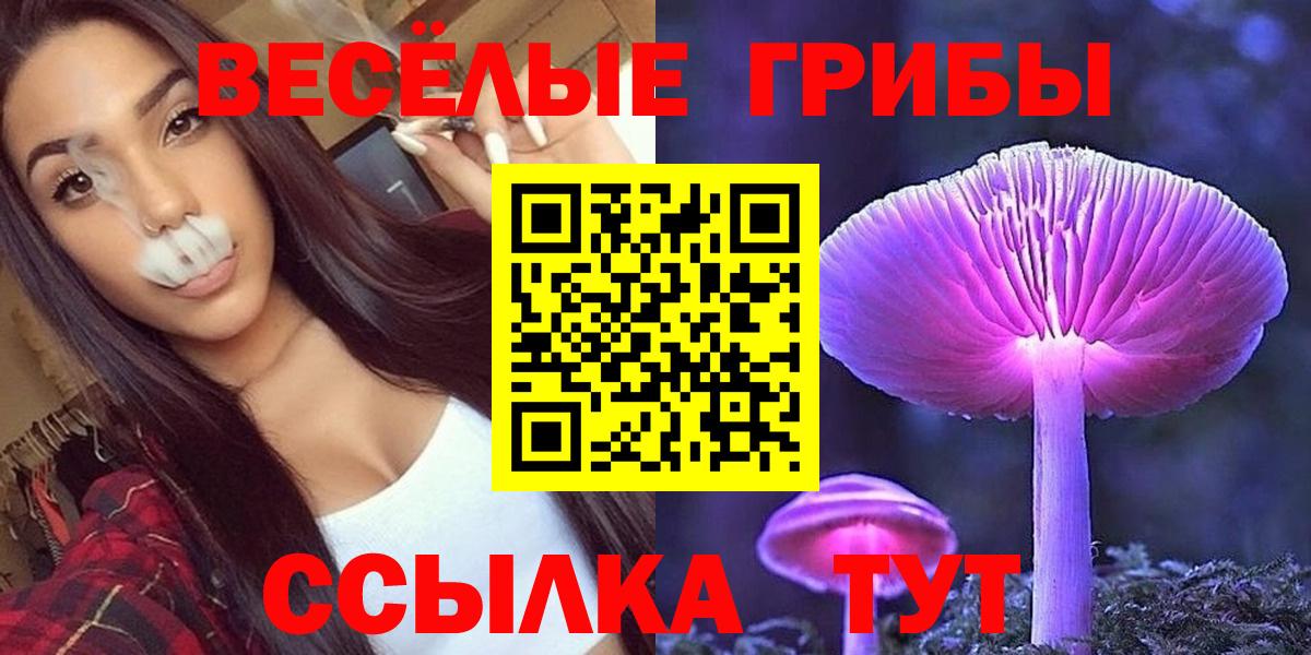 Великий Новгород  Галлюциногенные грибы прущие грибы  Вход с VPN 